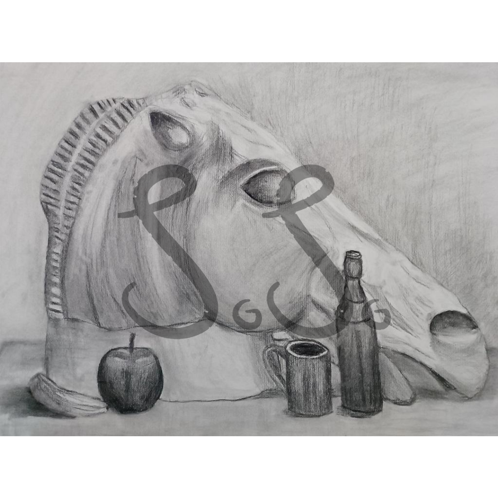 Horse - charcoal drawing