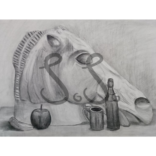 A horse bust with charcoal drawing